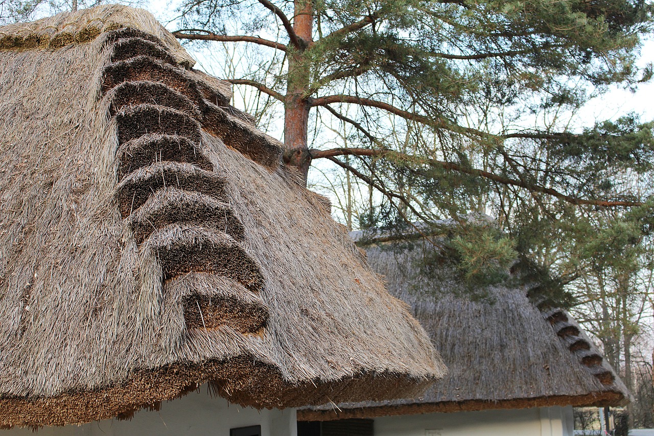 thatched roof straw roof straw free photo