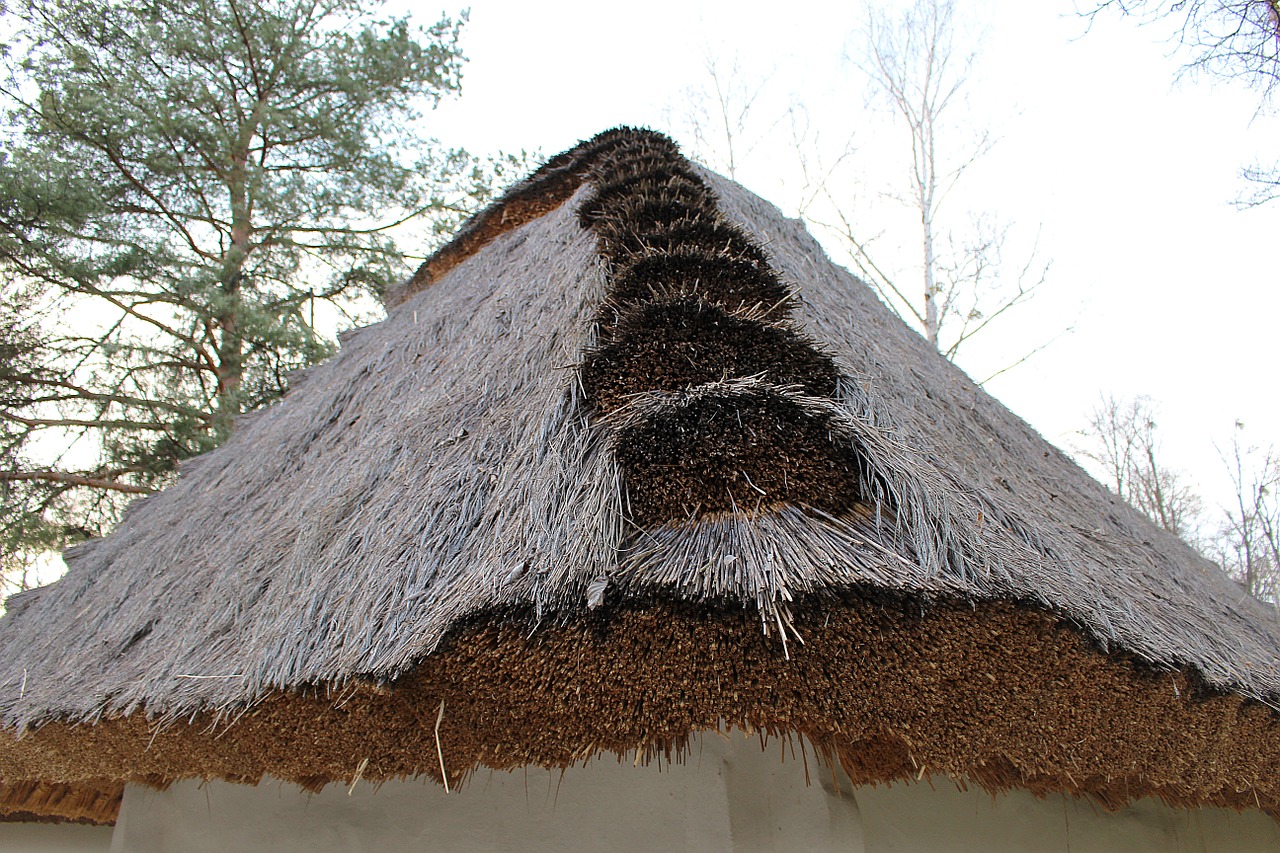 thatched roof straw roof straw free photo