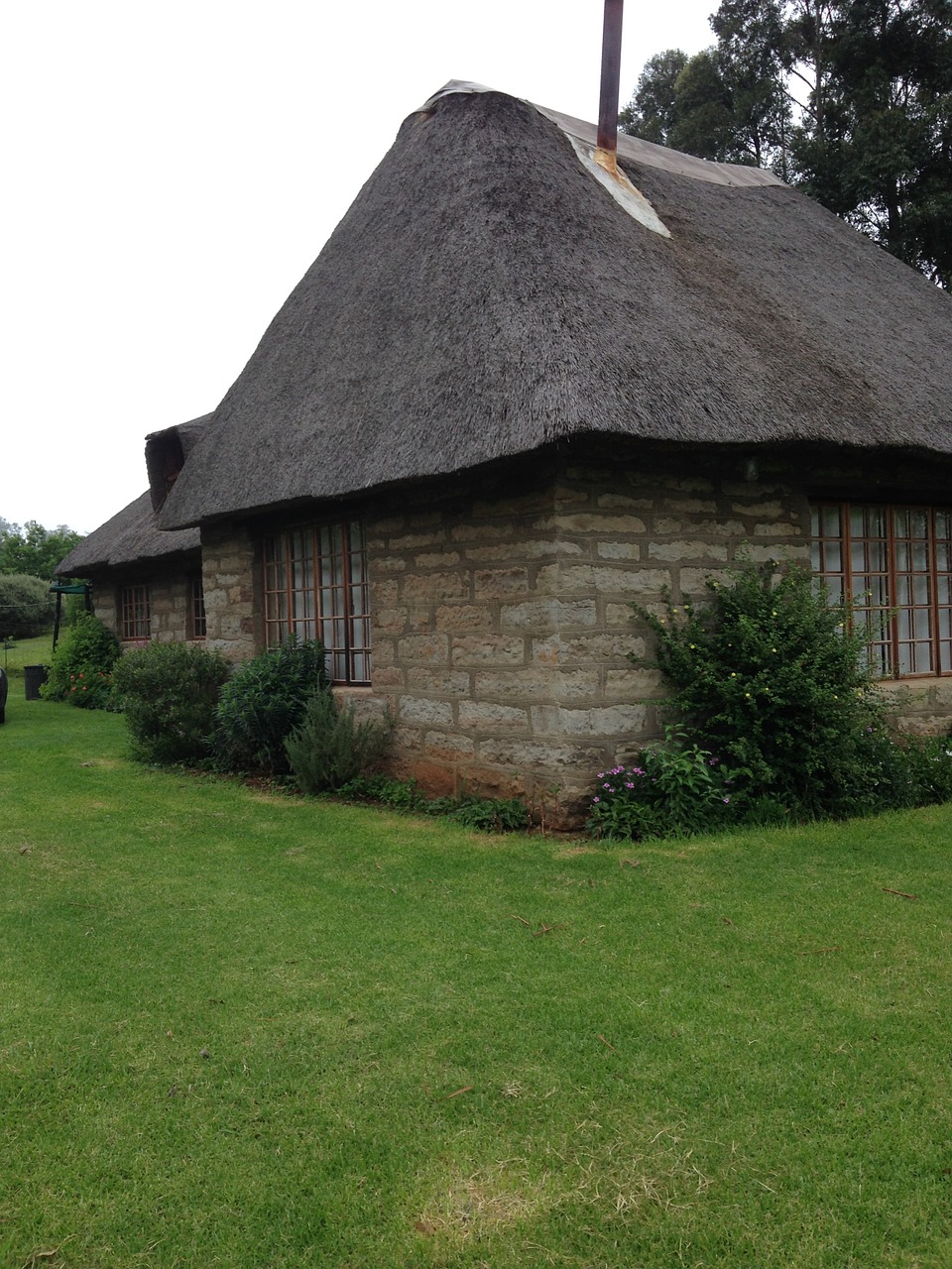 thatching thatched house house free photo