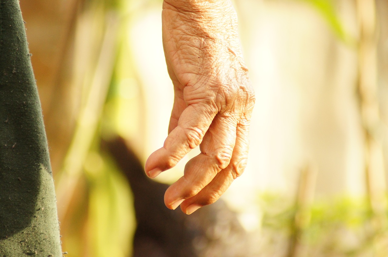 the hands of the free photo