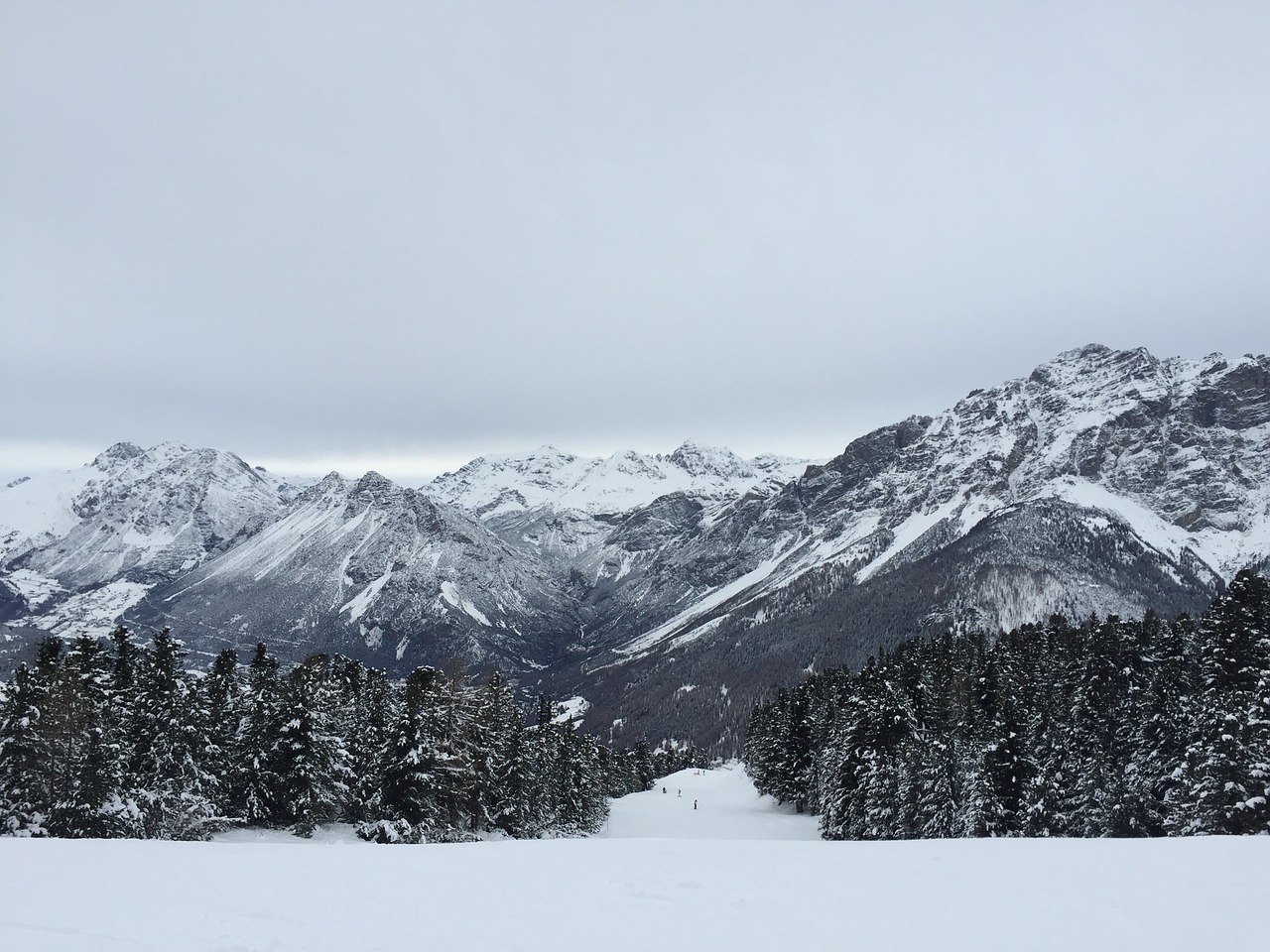 the alps livigno panorama free photo