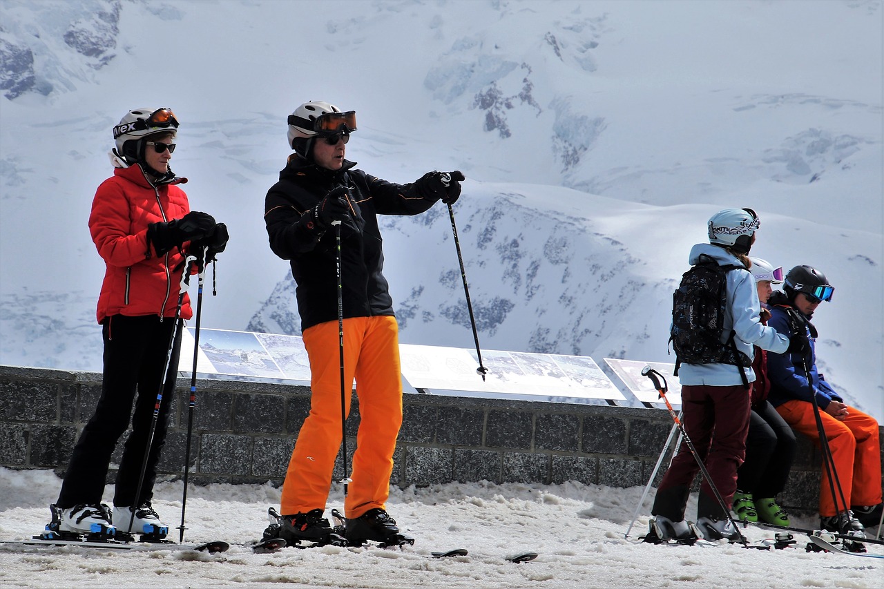 the alps  ski  skier free photo