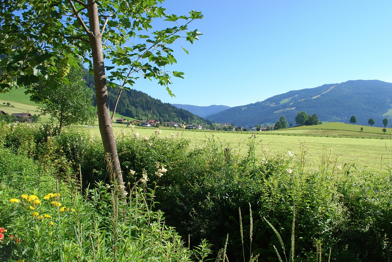 the alps mountain creek free photo