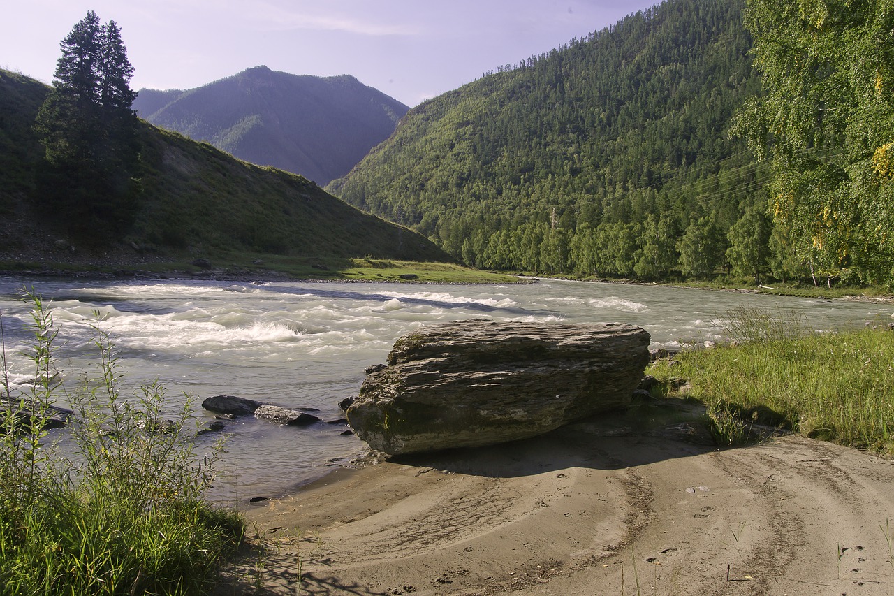 the altai mountains  siberia  river sensing free photo