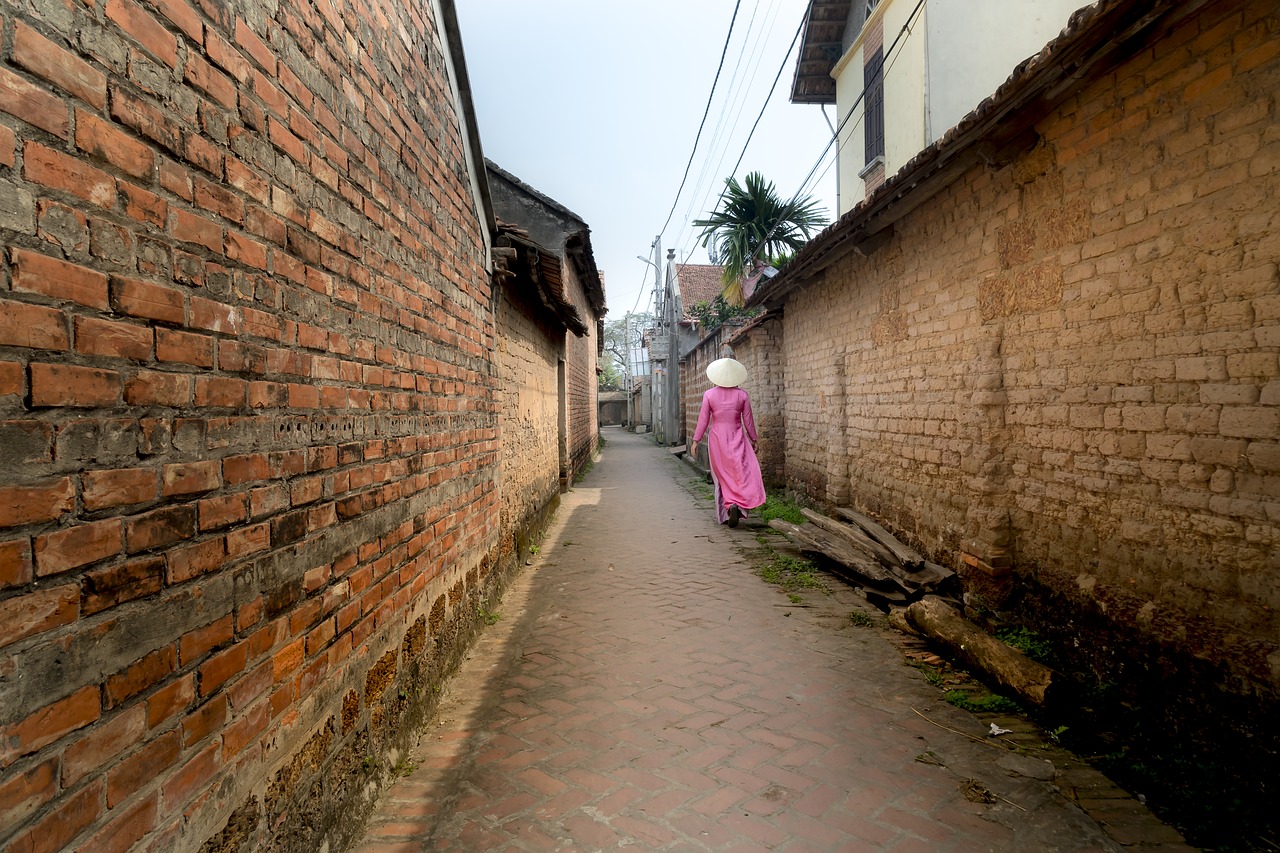 the ancient village  forestry road  hanoi free photo