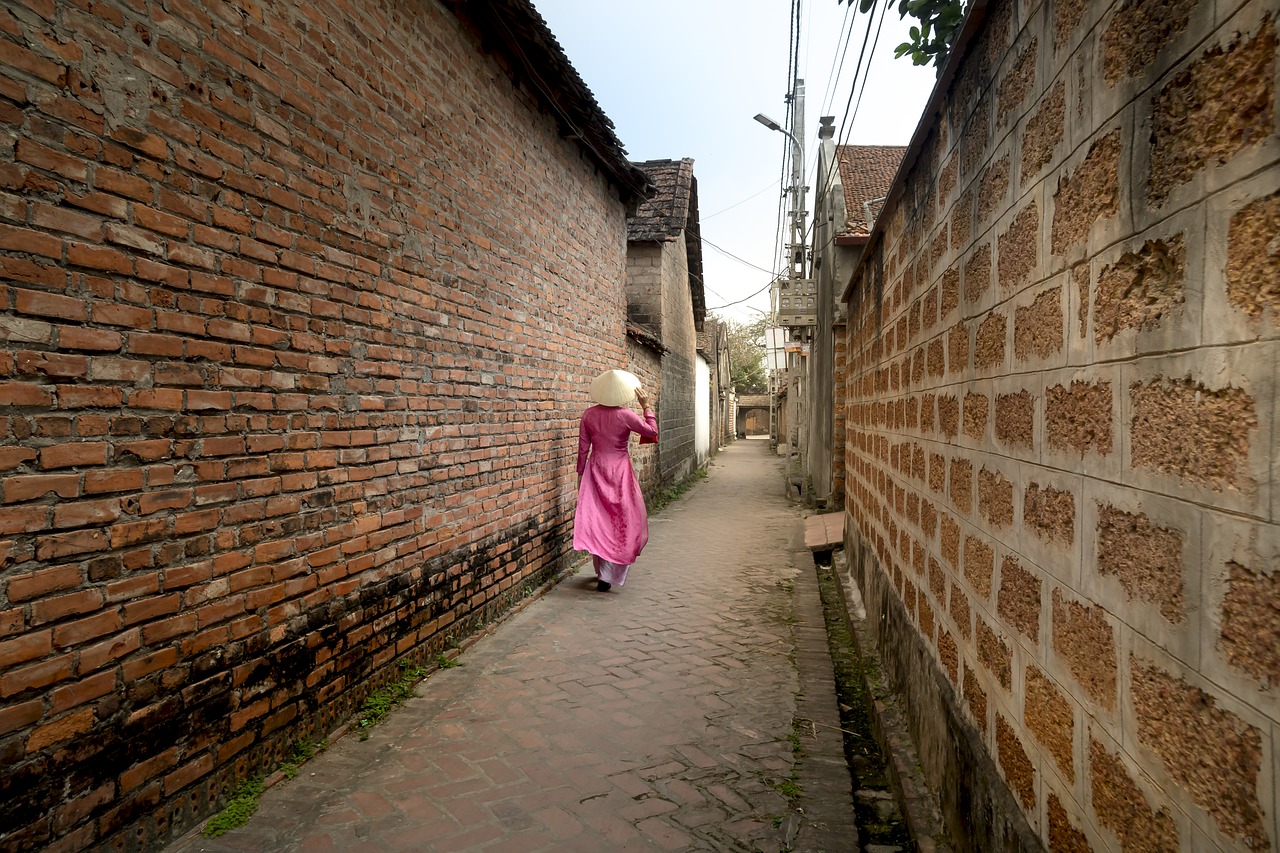 the ancient village  forestry road  hanoi free photo