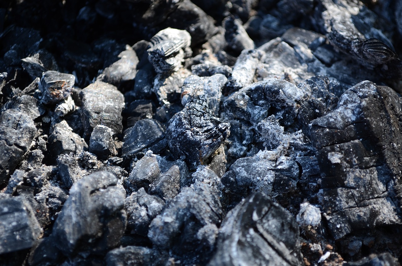 the ashes coals carbonized free photo
