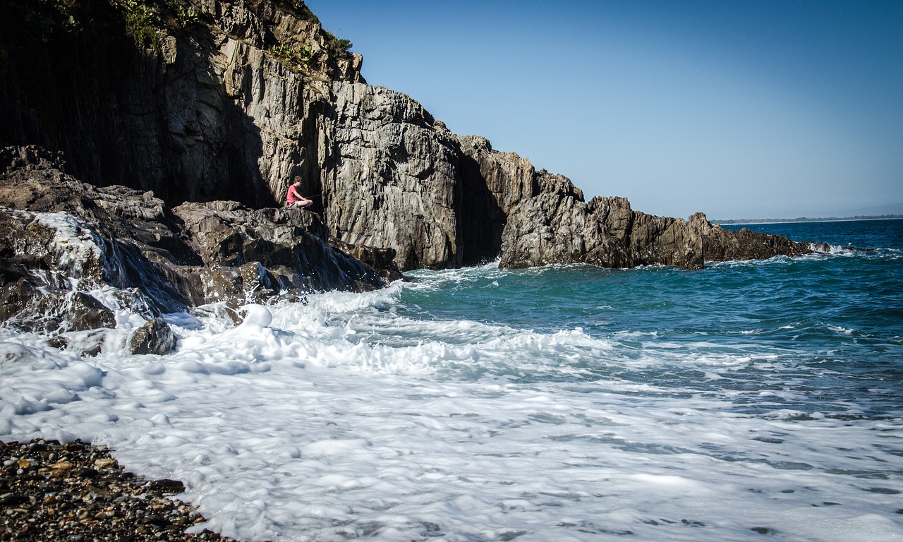 the atlantic coast of france  fish  relax free photo