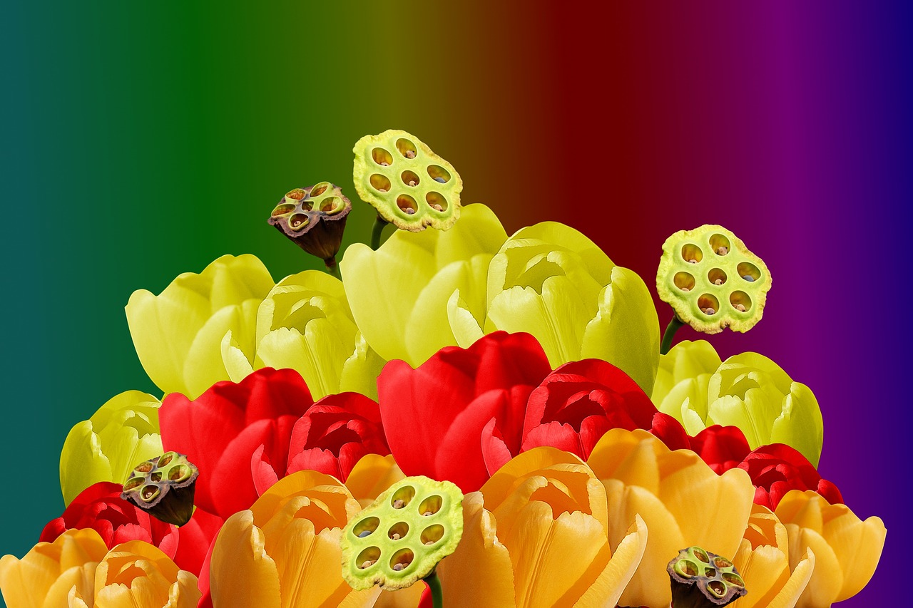 the background flowers colored free photo