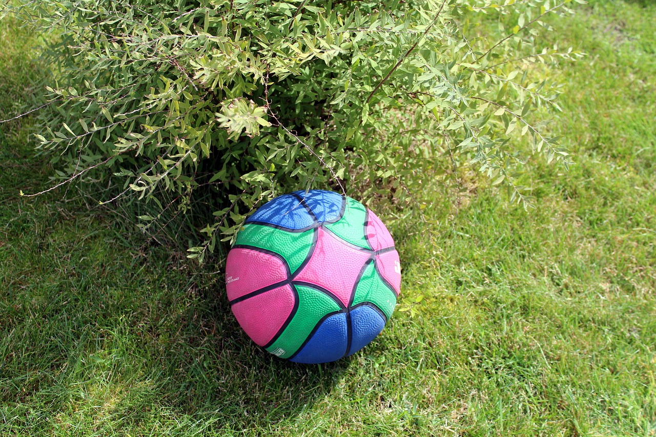 the ball fun holidays free photo