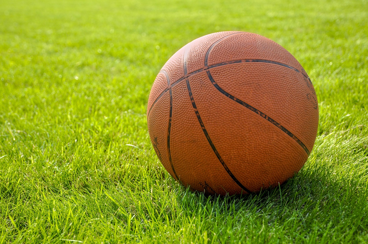 the ball  ball for basketball  basketball free photo