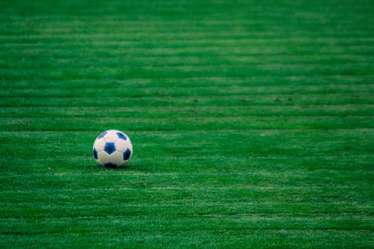 the ball  football  green free photo