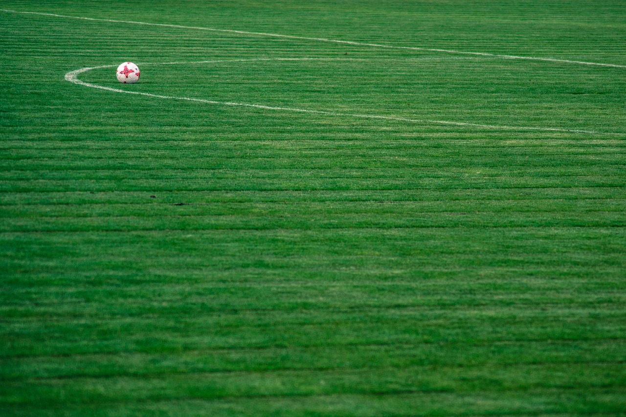 the ball  grass  stadion free photo