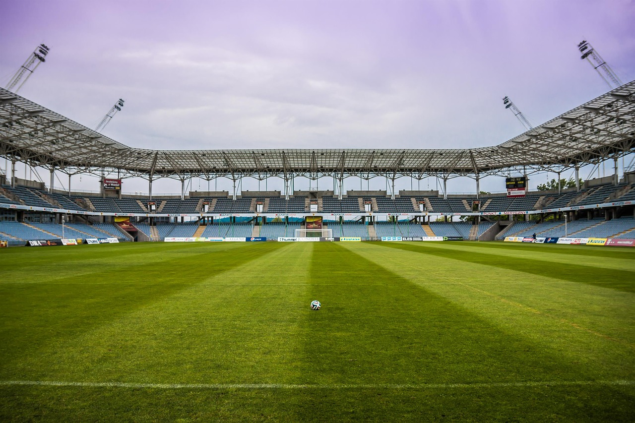 the ball stadion football free photo