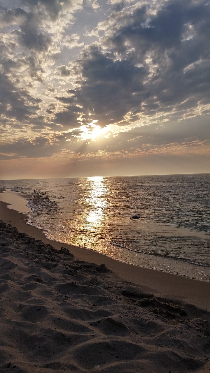 the baltic sea beach west free photo