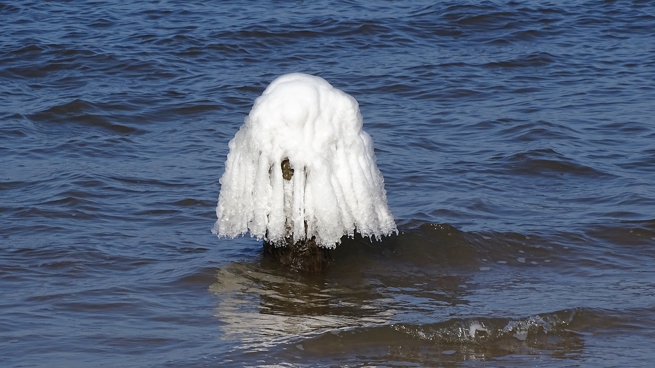 the baltic sea  winter  frost free photo