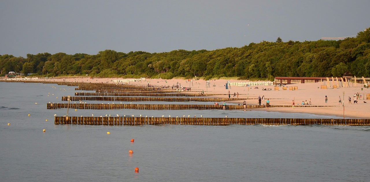 the baltic sea  beach  sea free photo