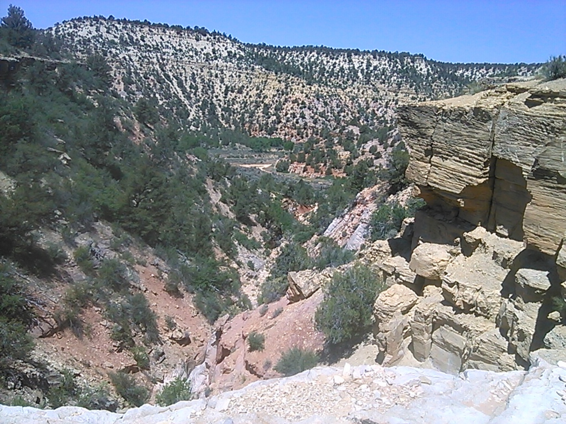 mountain canyon tree free photo