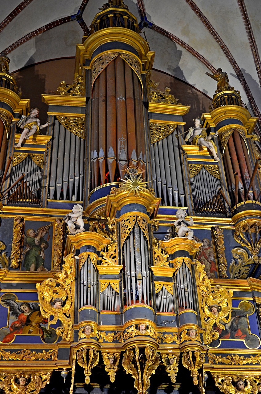 the basilica  cathedral  organ free photo