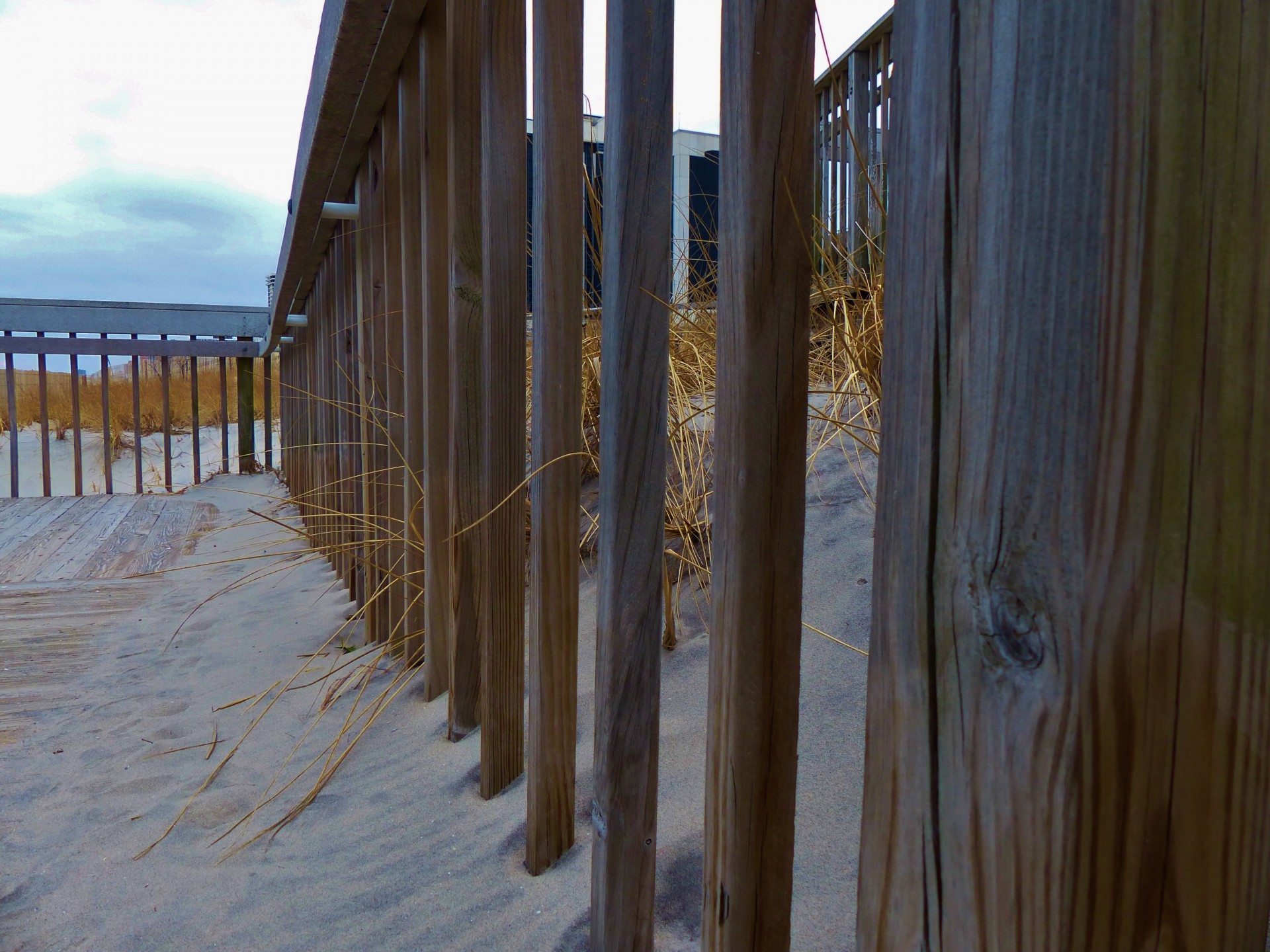 beach walkway sand free photo