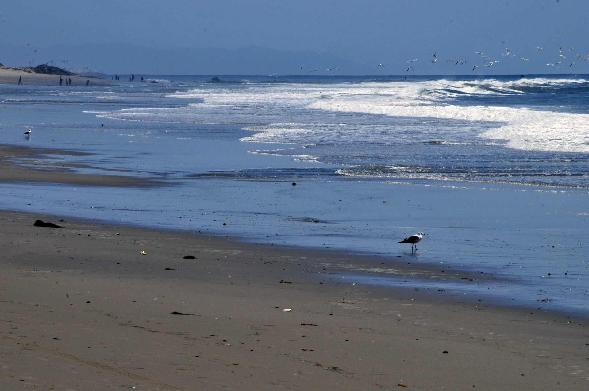 beach sea ocean free photo