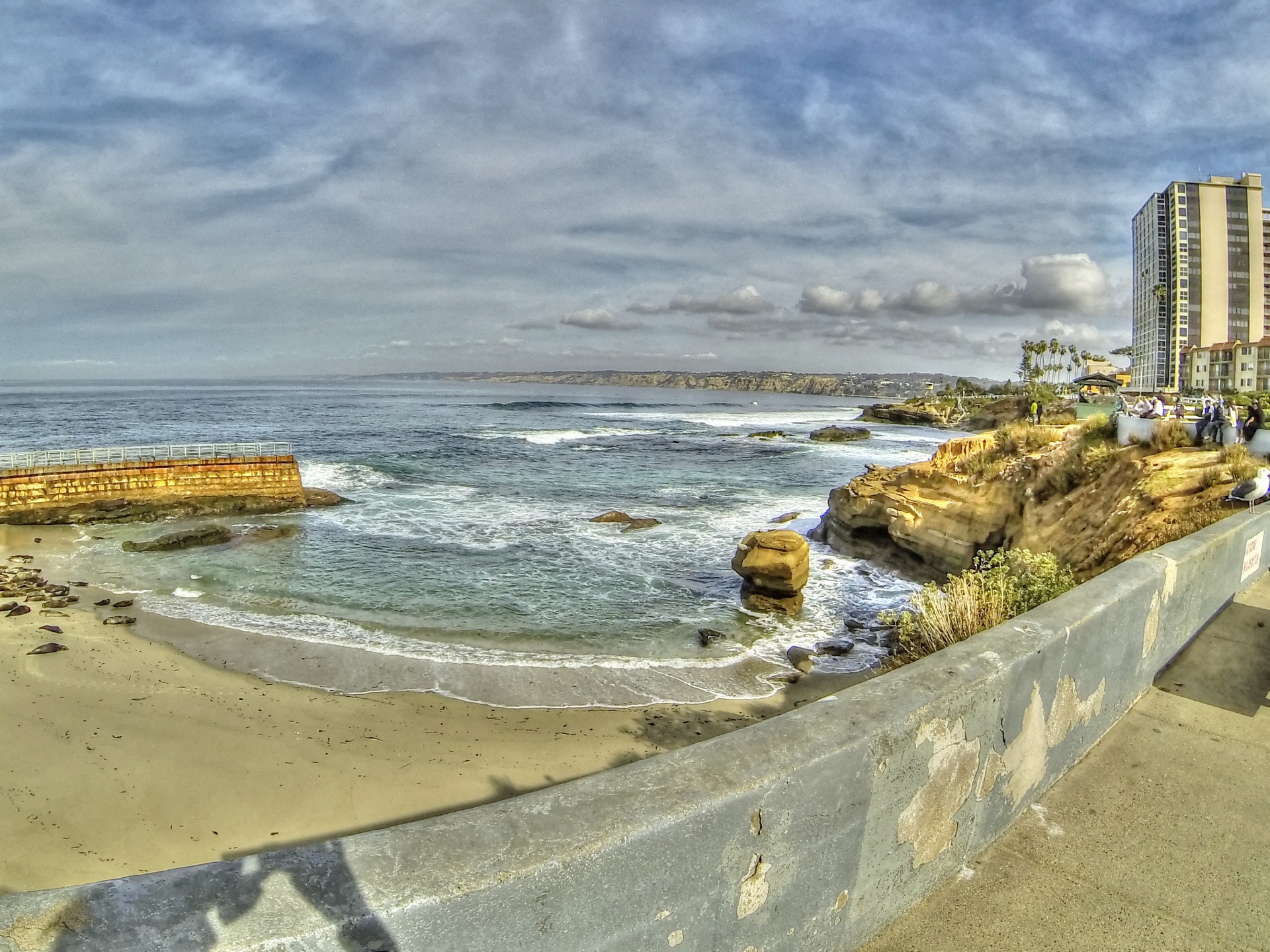 beach ocean sea free photo