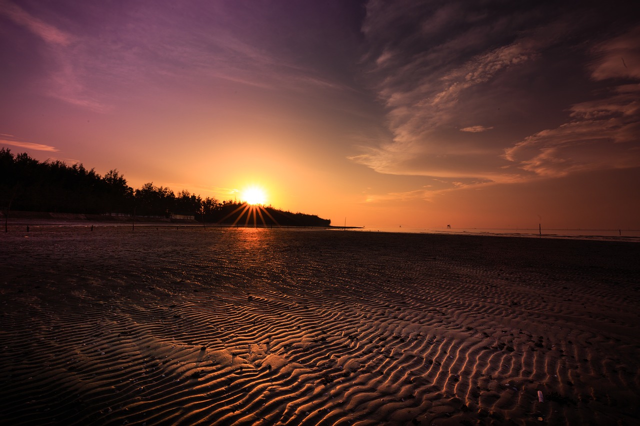the beach sunset sand free photo
