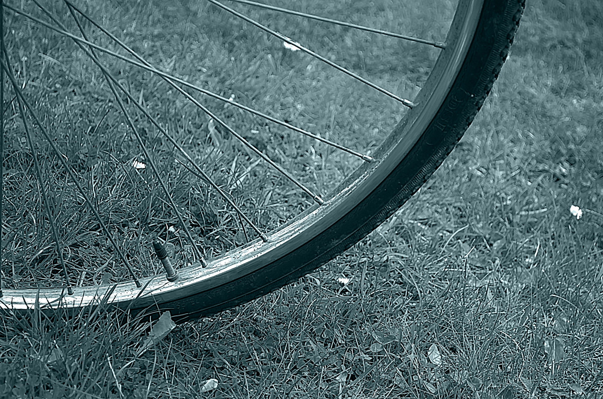 bike bicycle background free photo