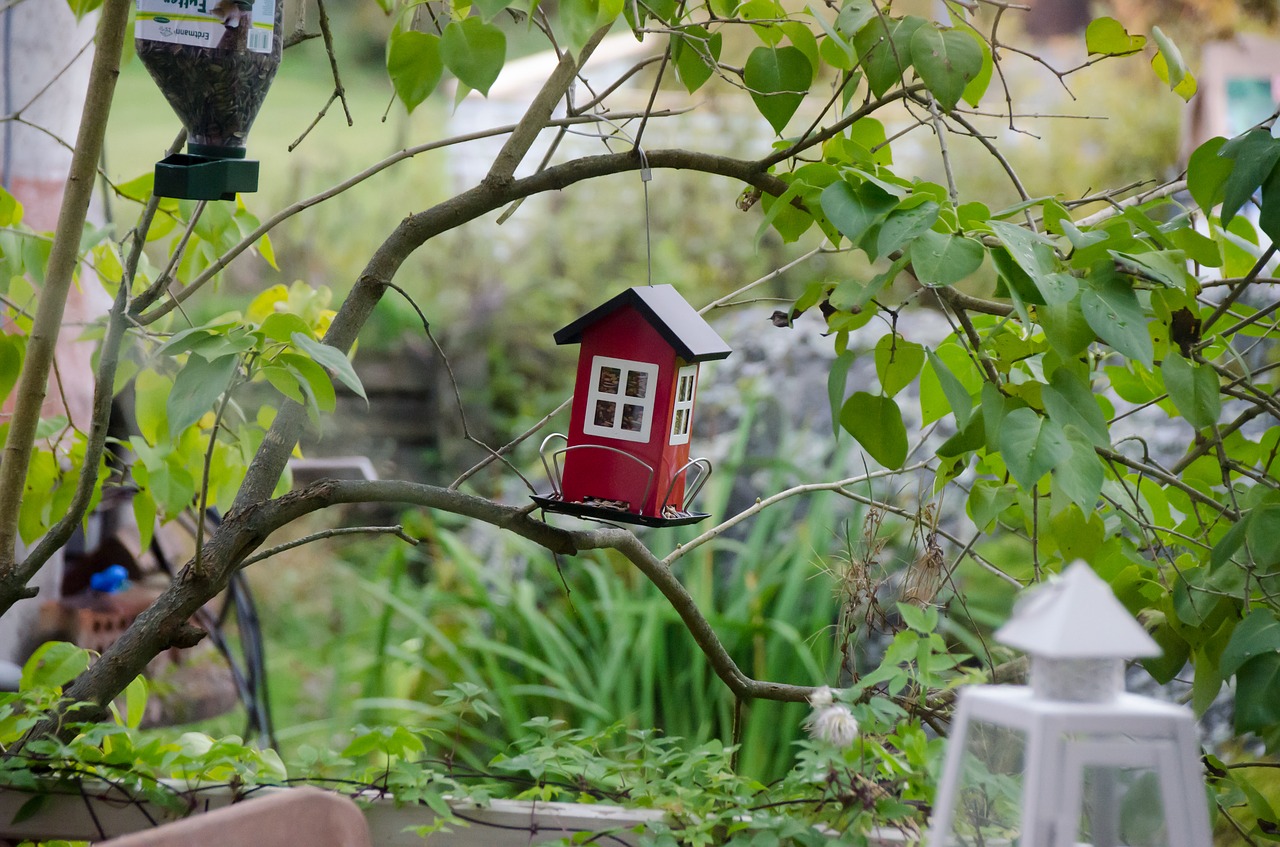 the bird feeder feeding the birds garden free photo