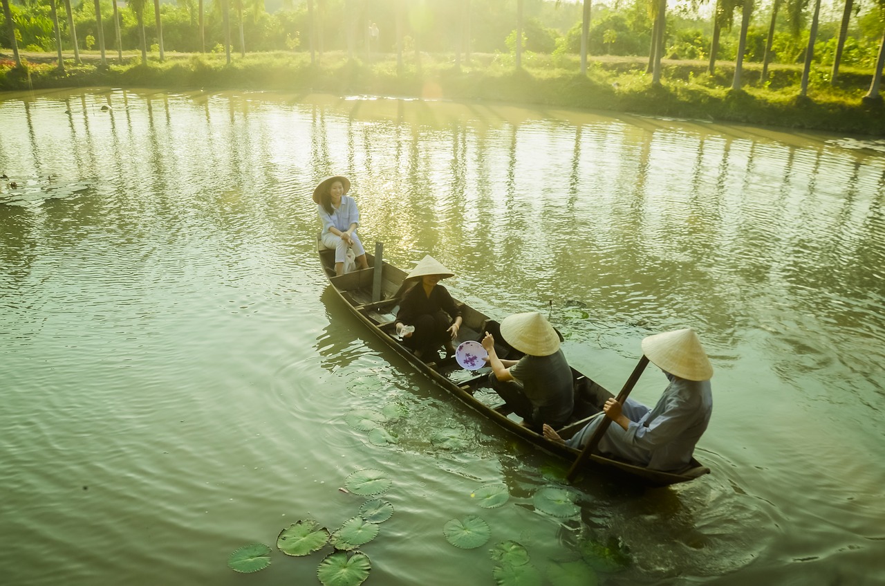 the boat  rowing boat  to the river free photo