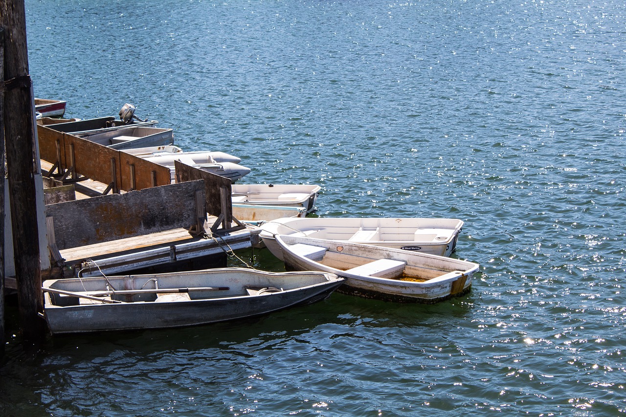 the boat  the sea  soot cool free photo