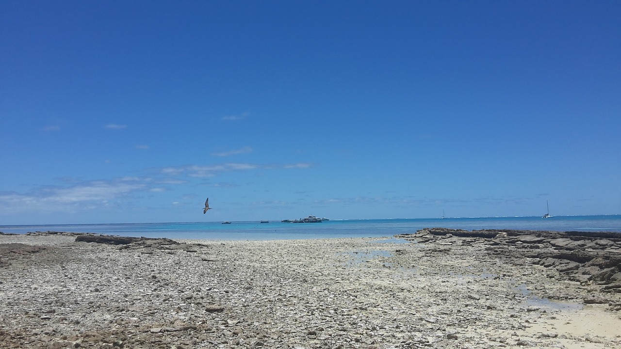 the body of water nature sea free photo