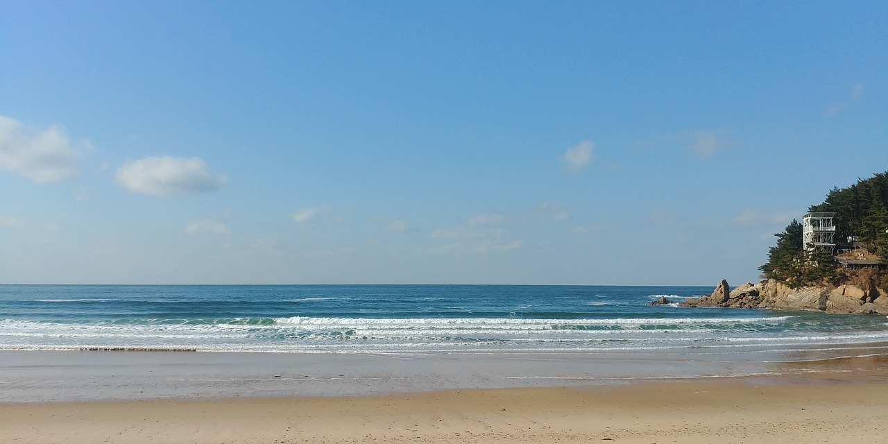 the body of water sand beach free photo