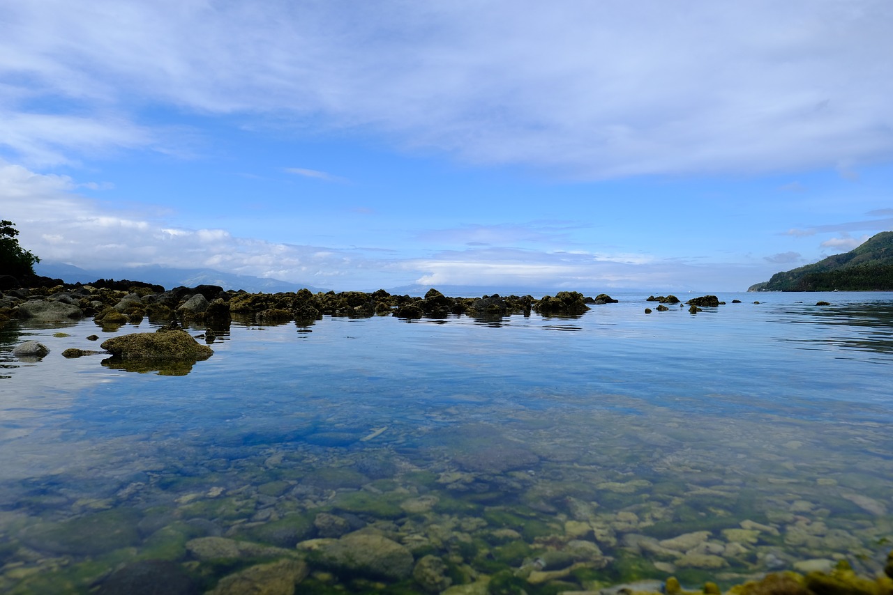 the body of water nature scenery free photo