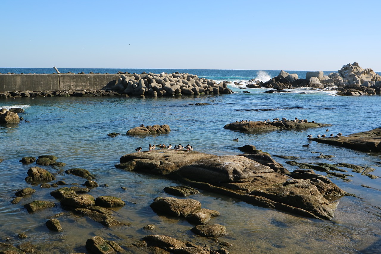 the body of water coast sea free photo