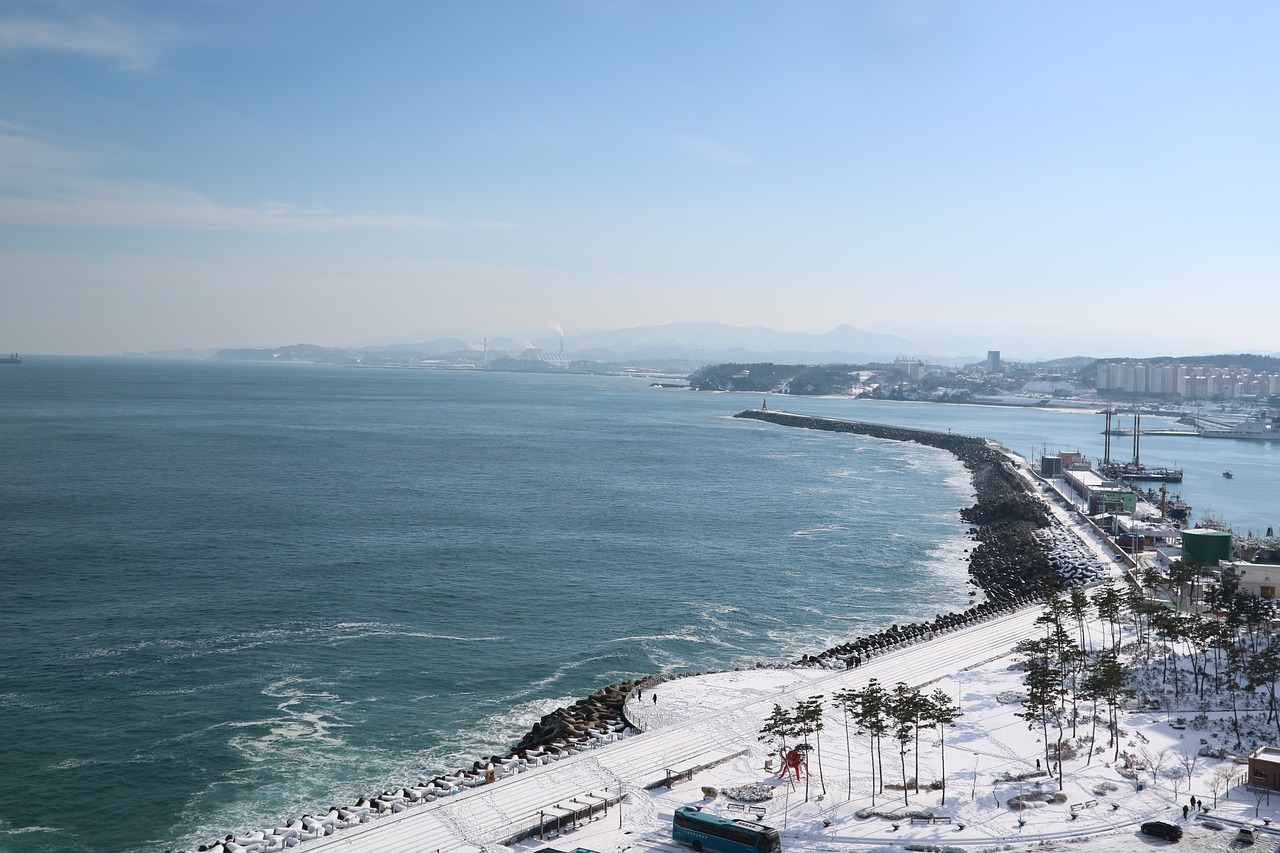 the body of water  sea  coast free photo