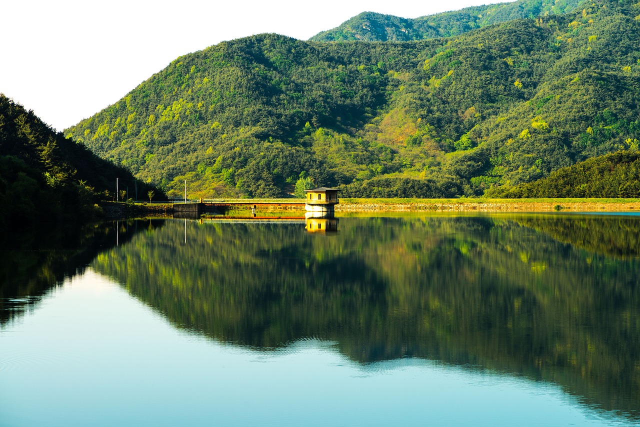 the body of water  river  lake free photo