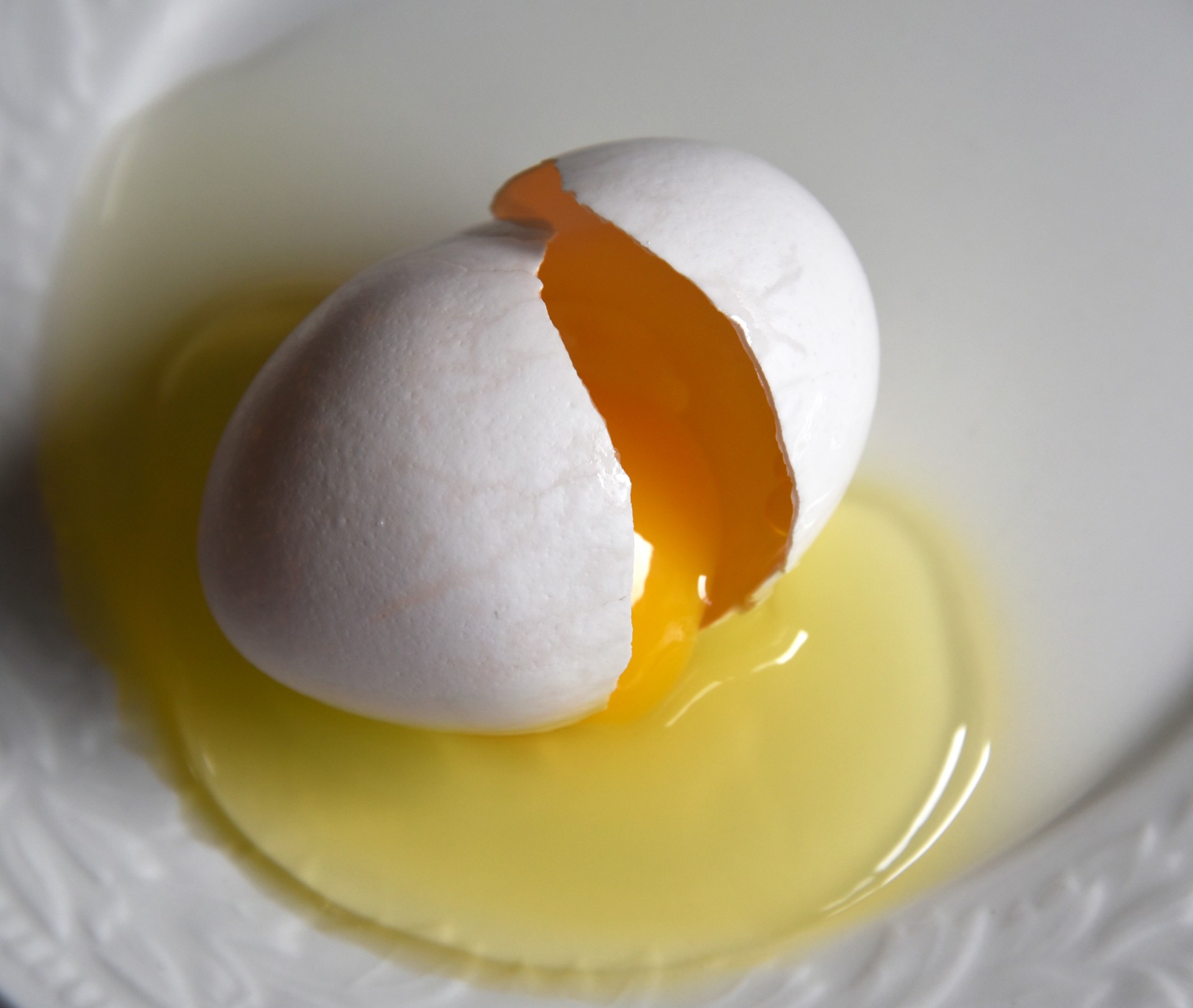 egg broken yolk free photo