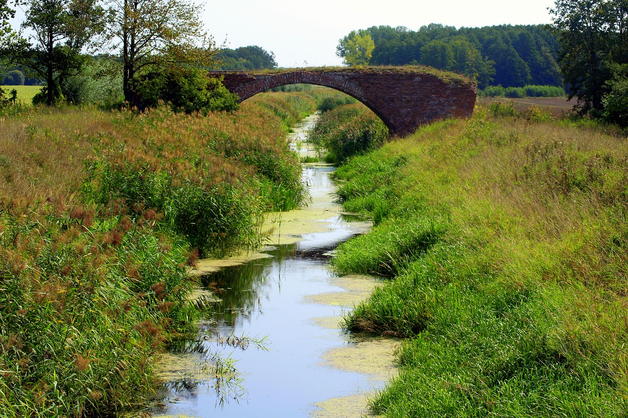 the brook  landscape  summer free photo