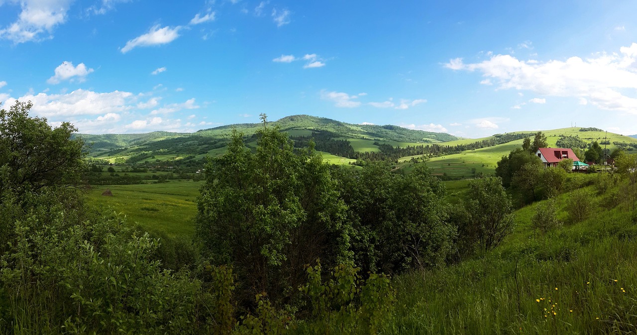 the carpathians landscape summer free photo