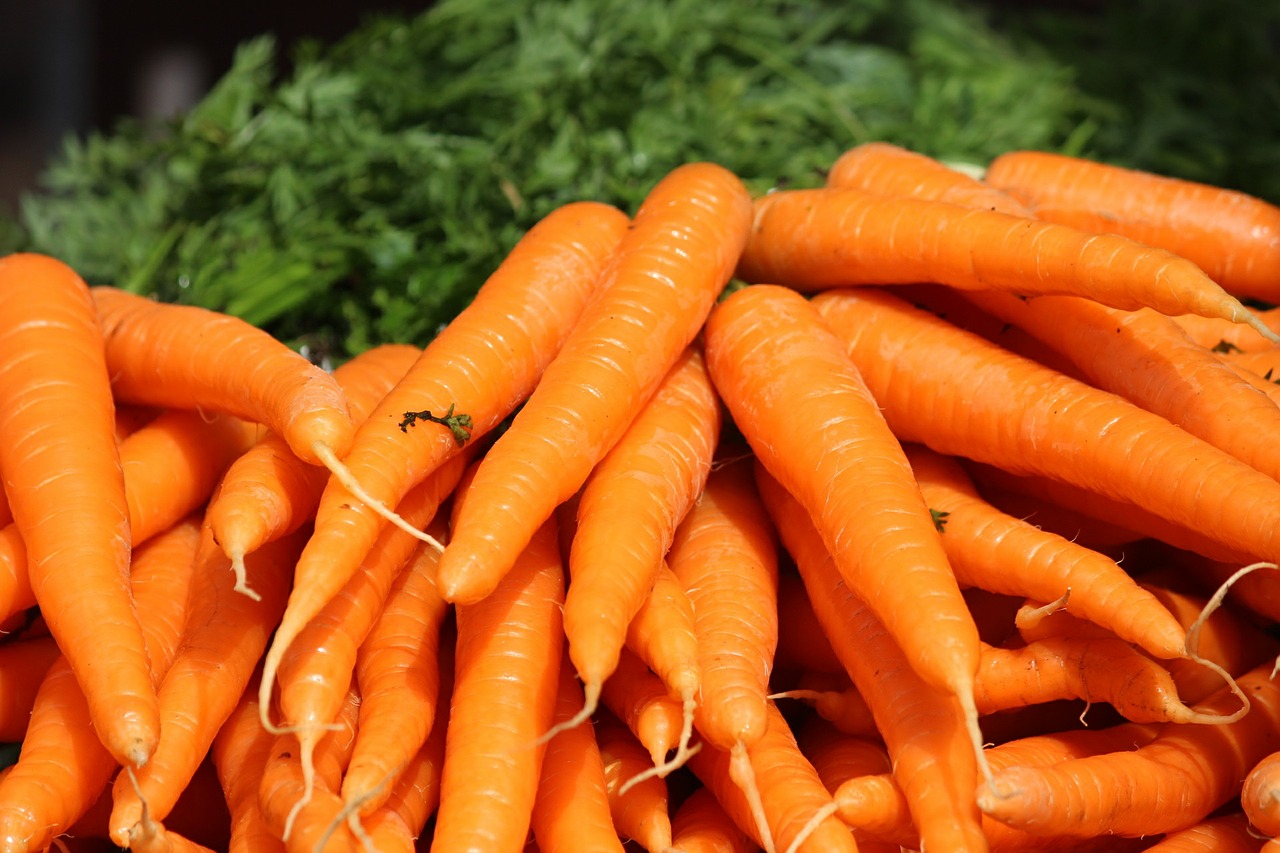 the carrot carrots bunch orange vegetable free photo