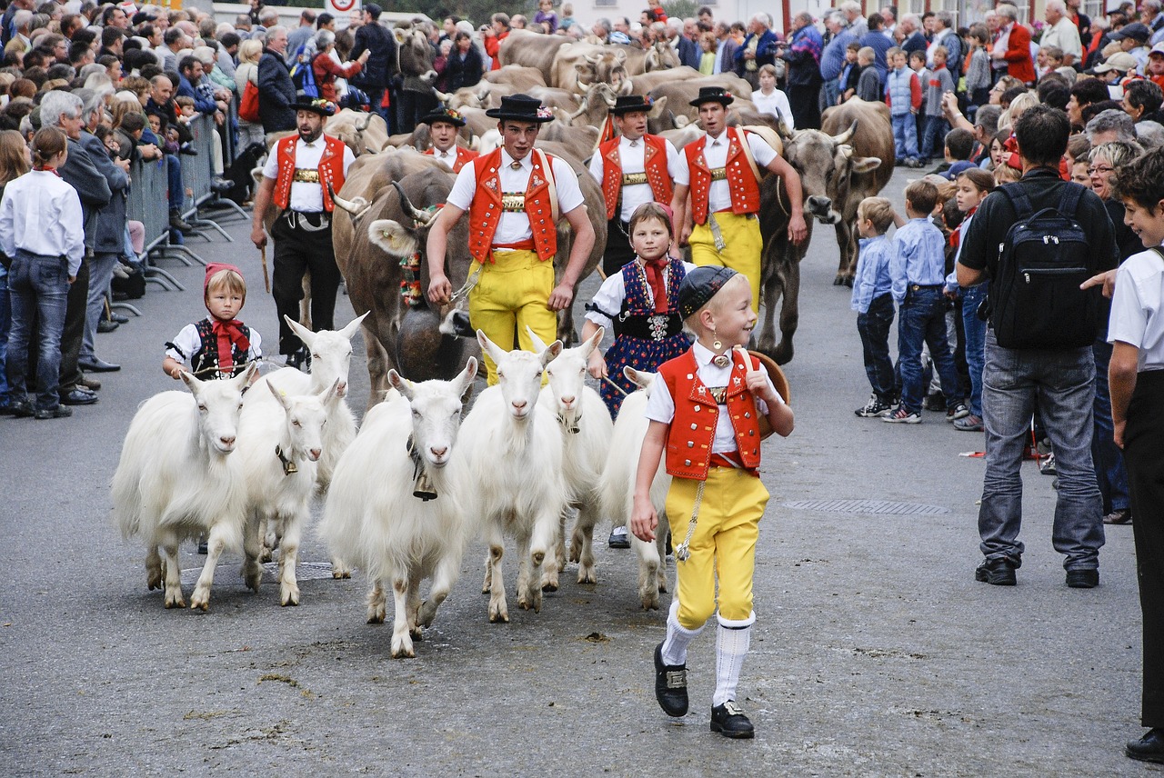 the cattle market goat appenzell free photo