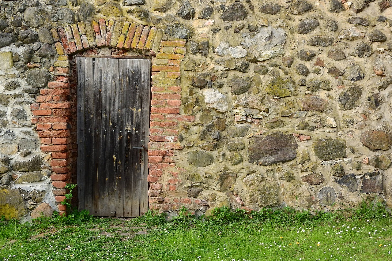 the cellar door the door in the wall wooden free photo