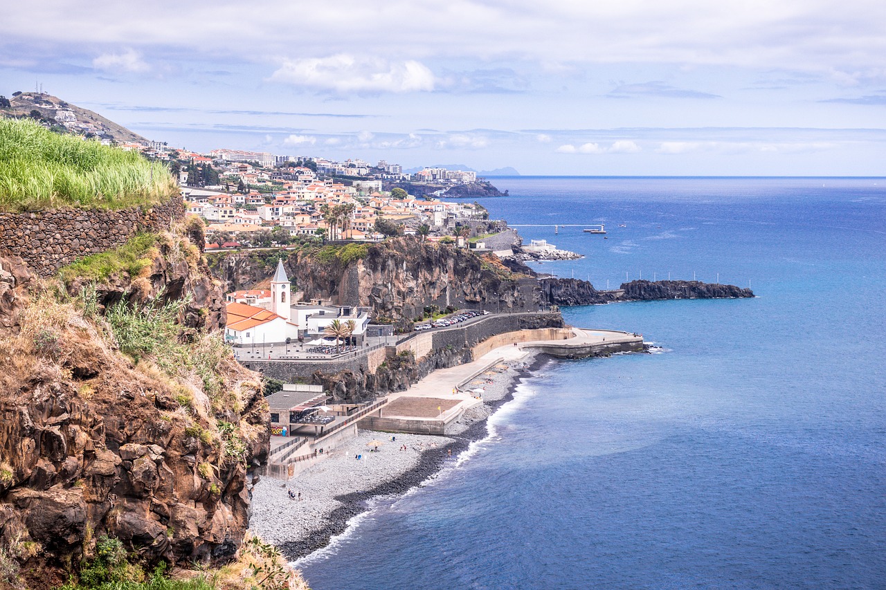 the city of câmara de lobos  island wood  costa free photo