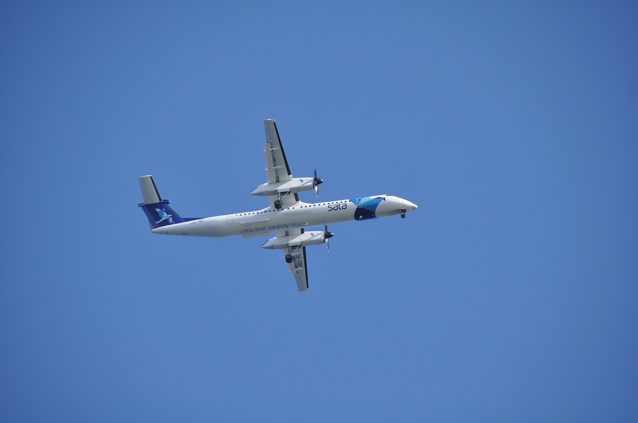 sky the plane flight free photo