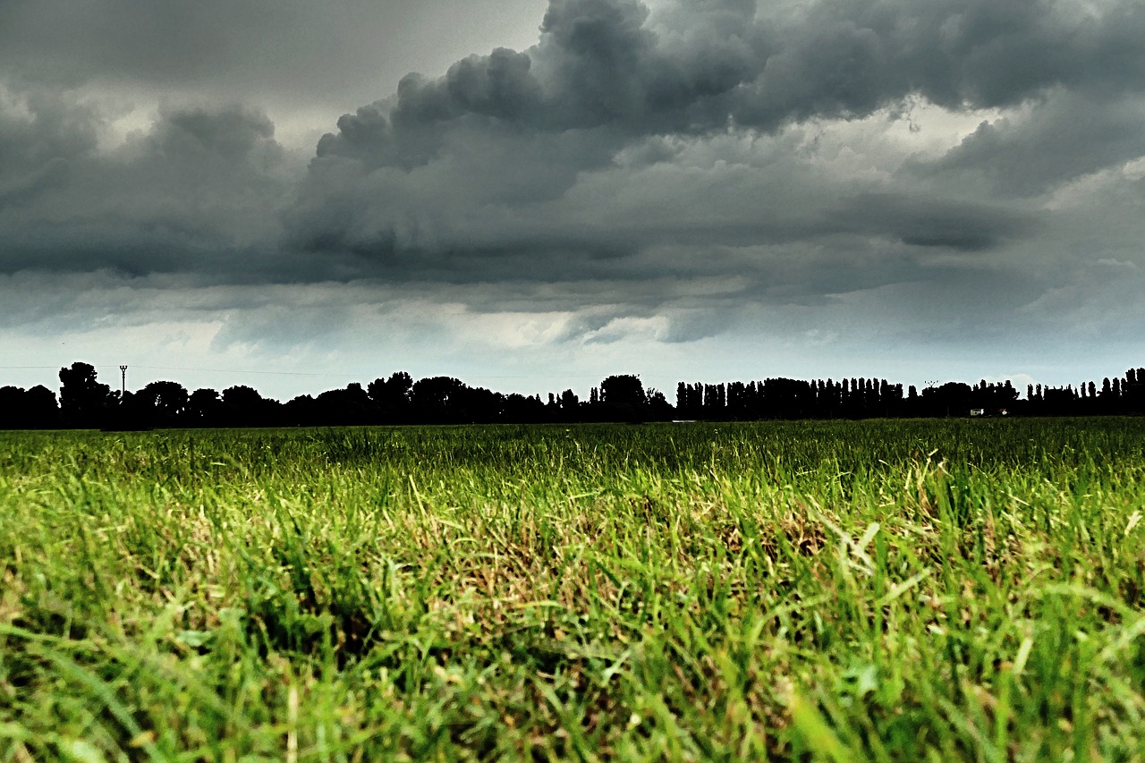 the clouds  clouds  sky free photo