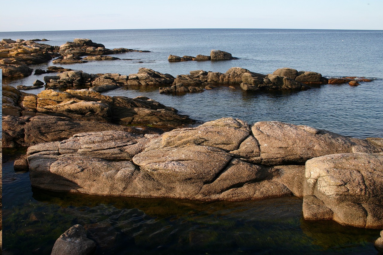 the coast  sea  summer free photo