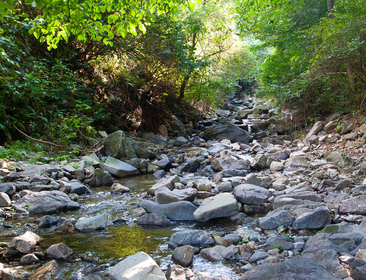the creek  streams  valley free photo