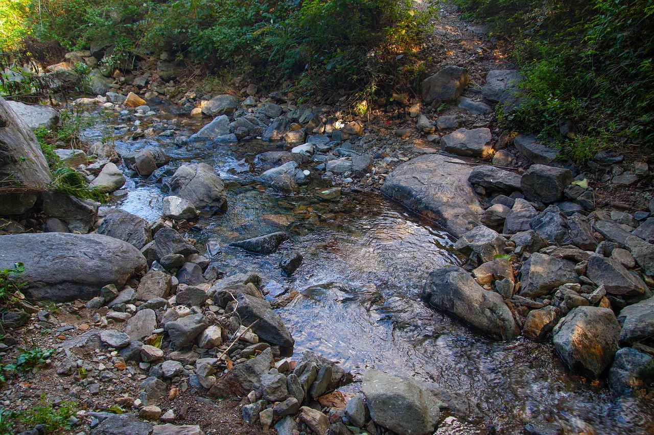 the creek  streams  valley free photo