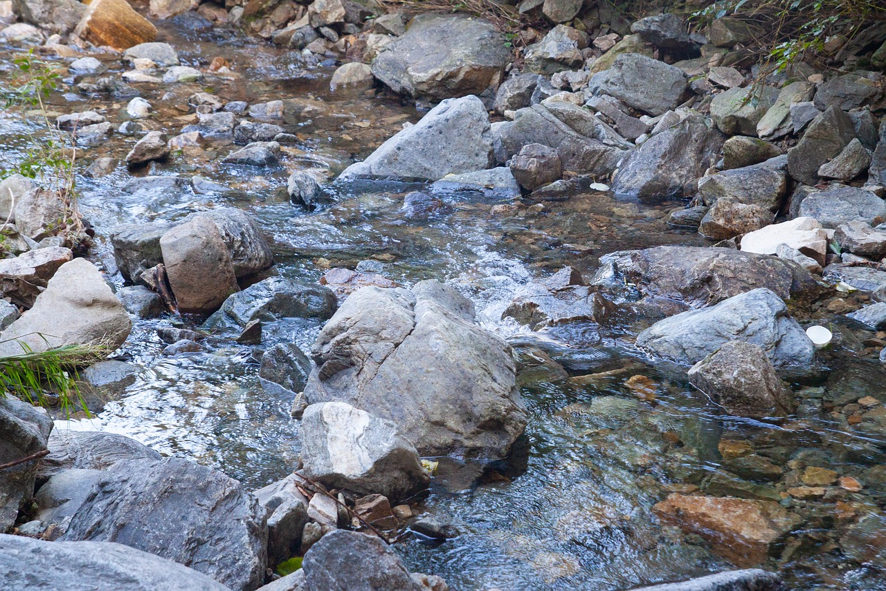 the creek  streams  valley free photo